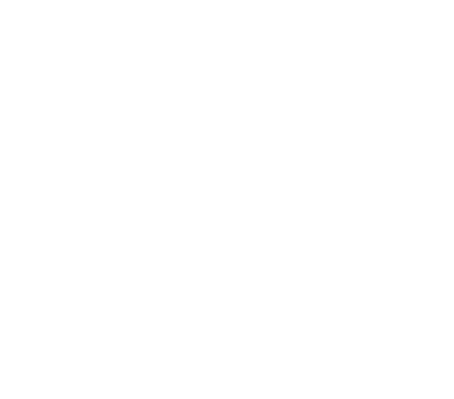 Kozler_NewLogo_Reversed_RGB